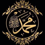 Logo of سيرة النبي محمد صلى الله عليه وسلم android Application 